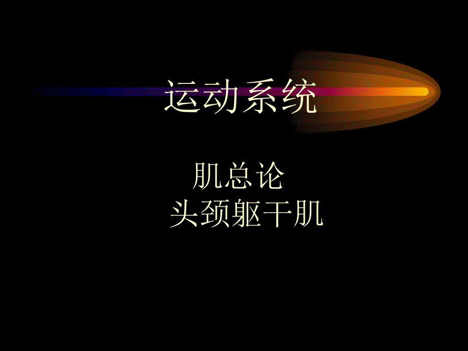 解剖学-肌总论躯干肌_第1页