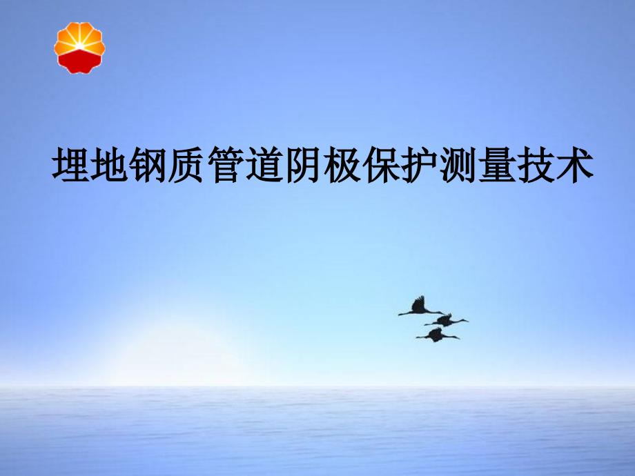 埋地钢质管道阴极保护测量技术_第1页
