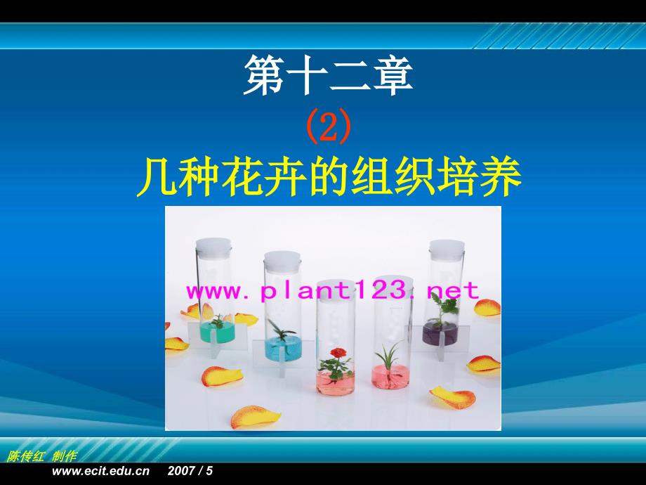植物组织培养 第十二章 （2）几种花卉的组织培养_第1页