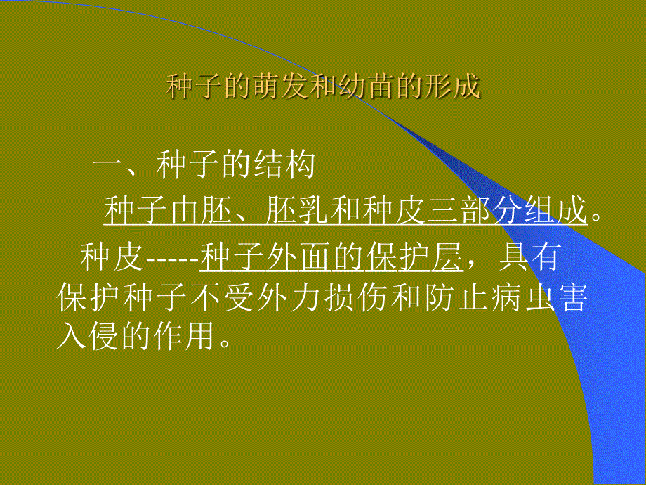 种子及植物的营养器官_第3页