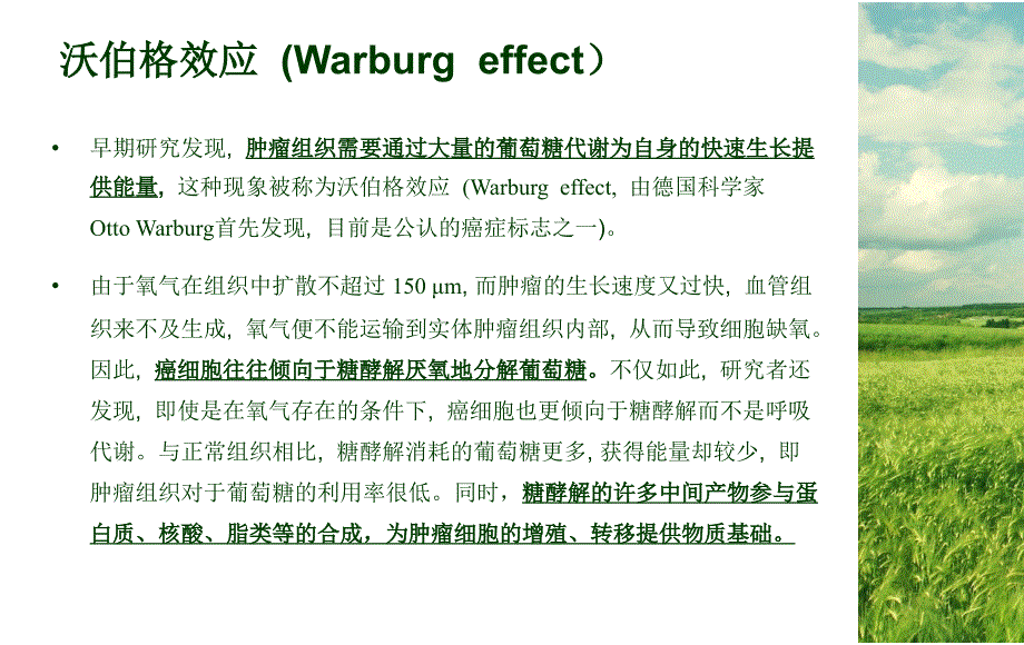 生酮饮食与癌症治疗_第2页