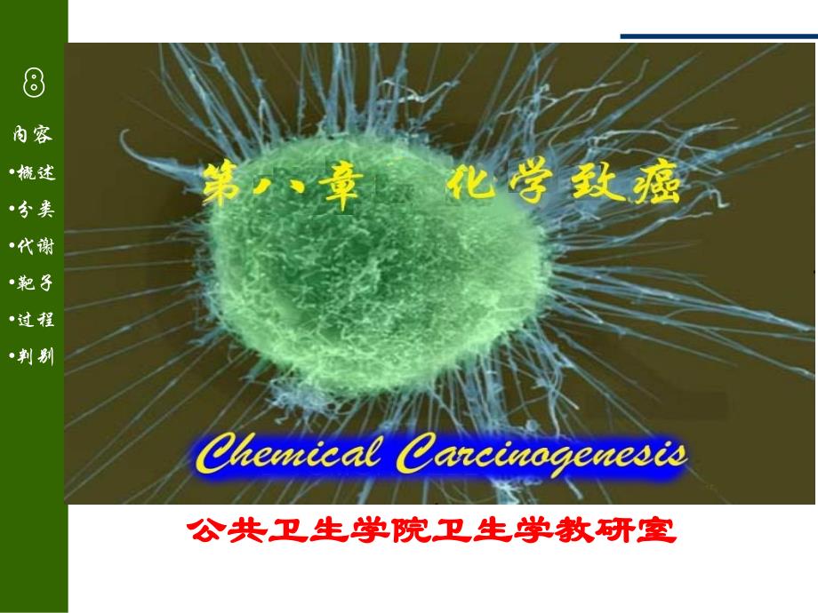 化学致癌作用及其评价_第1页