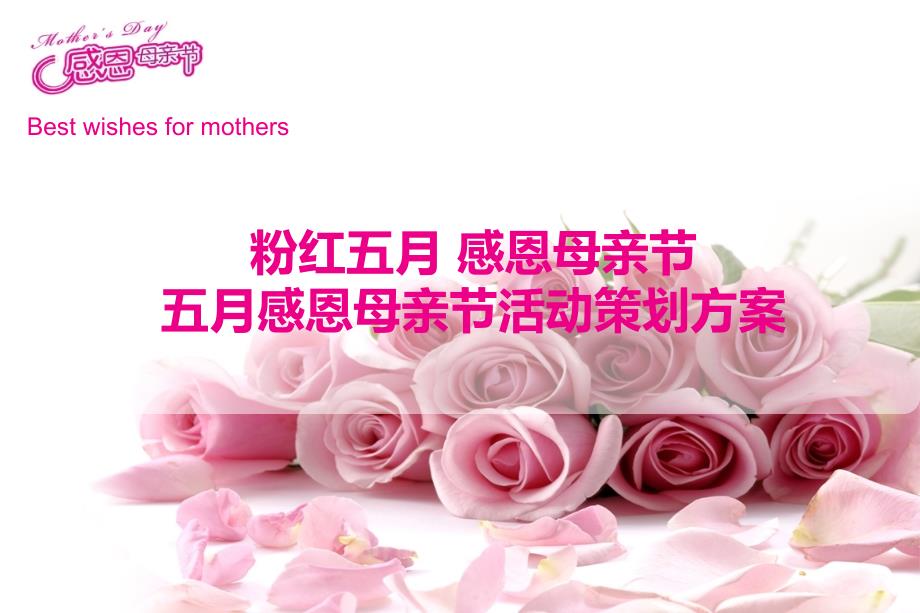 5月感恩母亲节活动策划方案_第1页
