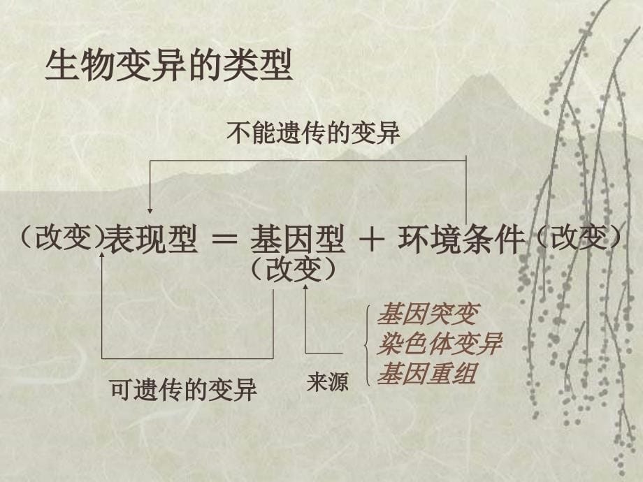 高一生物生物的变异1_第5页