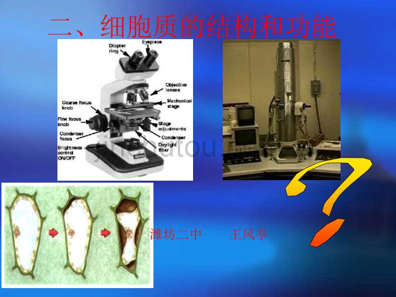 高一生物细胞质的结构和功能1_第1页