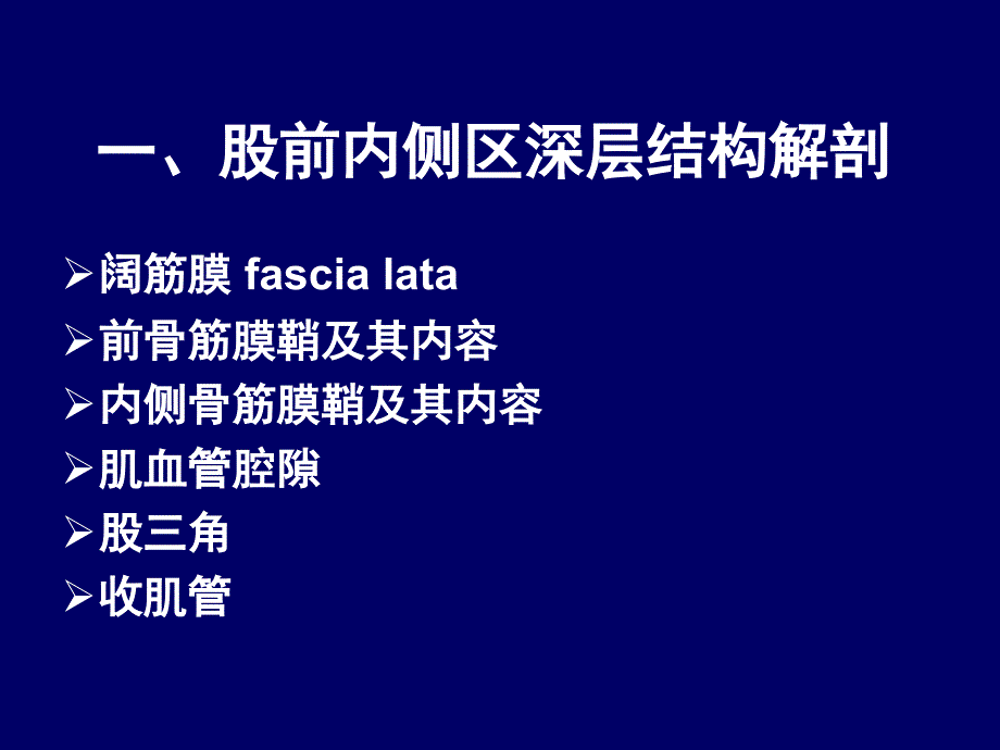 下肢前区深层解剖_第4页