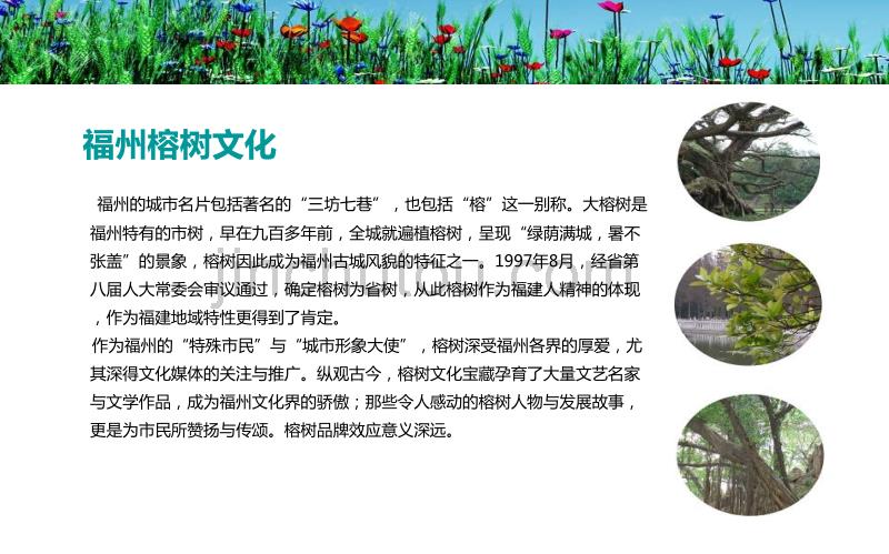 福州榕树文化系列公益活动方案_第4页