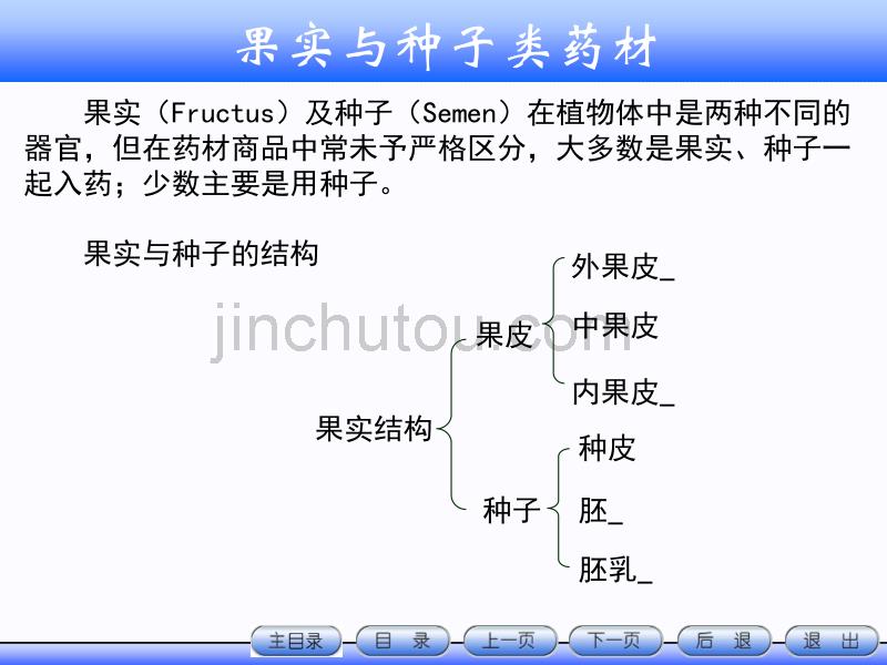 教案下篇8_果实与种子类药材_第1页