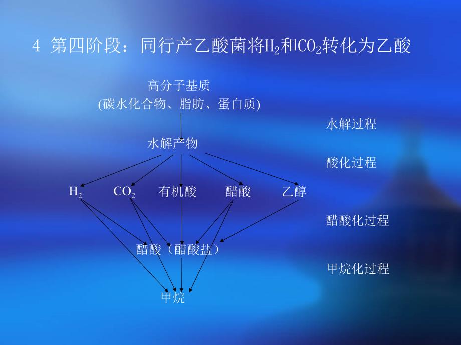 污水厌氧生物处理_第3页