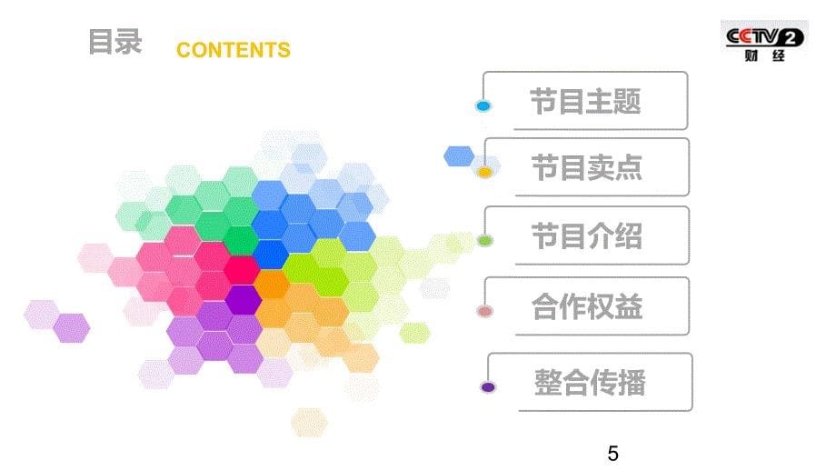 首档涉外版亲子类真人秀节目《青春季》招商策划方案_第5页