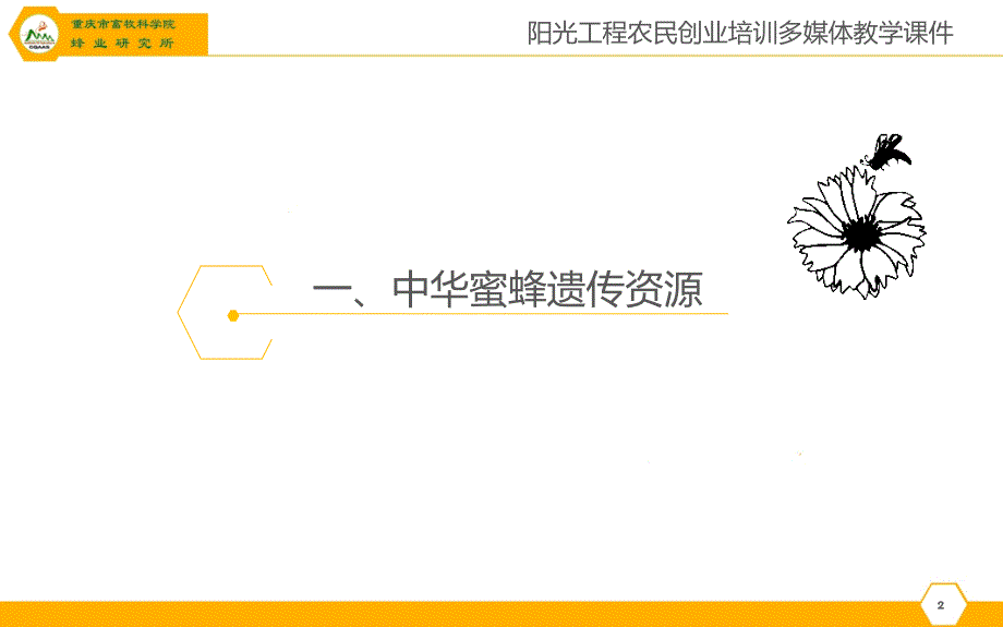 中蜂良种繁育技术教程_第3页