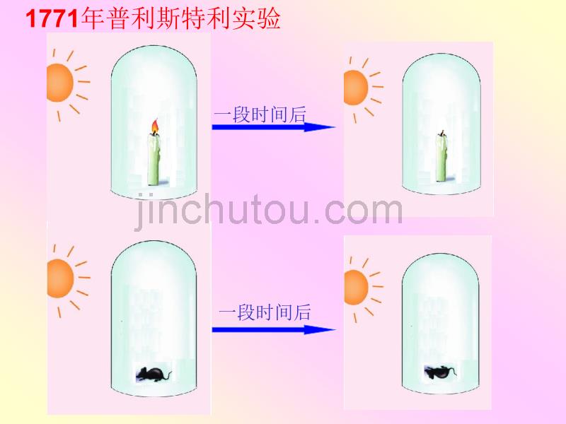 高一生物光合作用的原理和应用_第3页