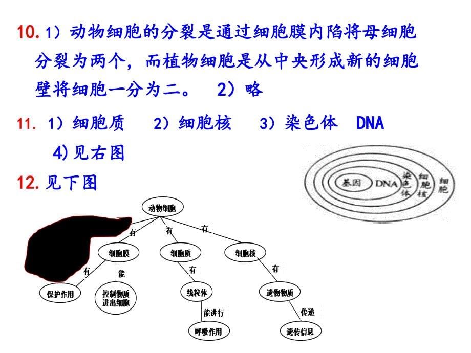 株洲学业指导丛书--答案_第5页