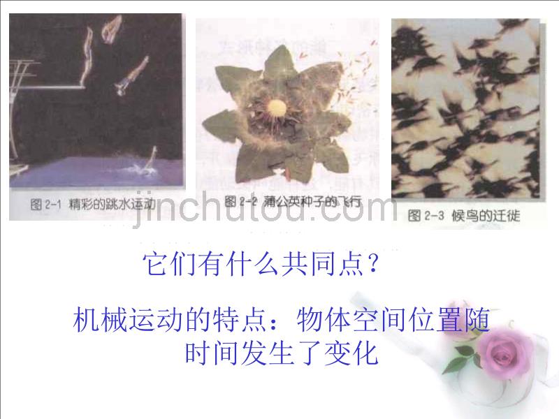 七年级科学运动和能的形式5_第4页