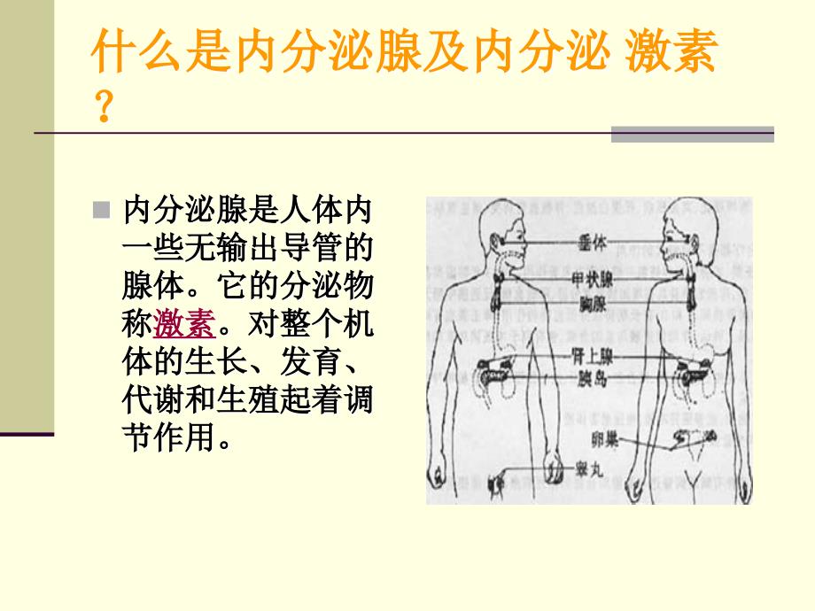 内分泌调节与抗衰老_第2页