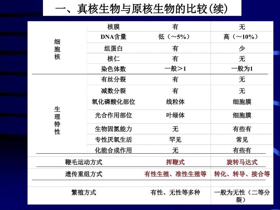 第3章真核微生物2015_第5页