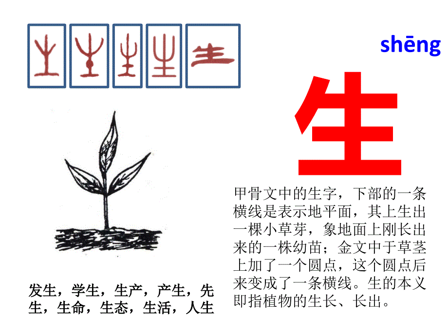 与“一”有关的汉字_第1页