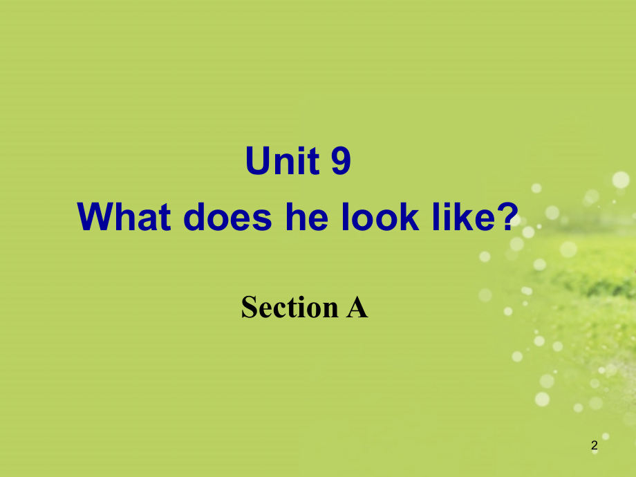 七年级英语下册《Unit9_What_does_he_look_like_Section_A》课件_(新版)人教新目标版_第2页