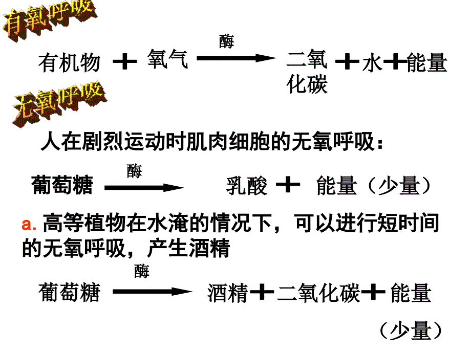 植物的新陈代谢新陈代谢  浙教版_第4页