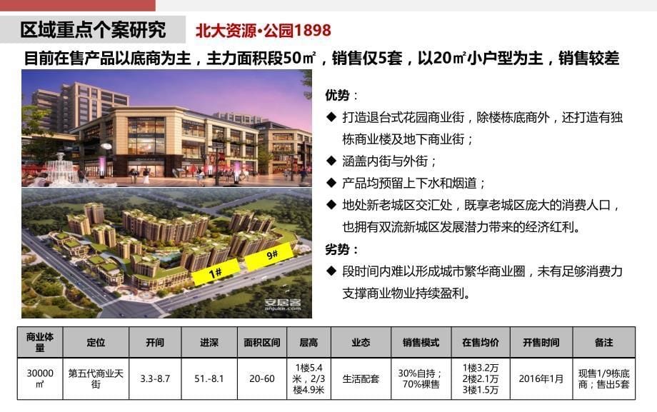 双流东升区域商业市调报告_第5页