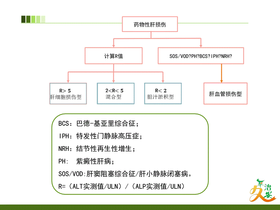 2解读中国DILI指南(下篇)_第4页