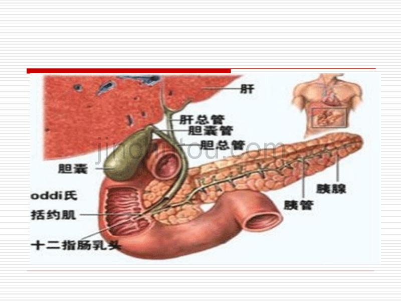 胆囊结石病人围手术期的护理_第4页