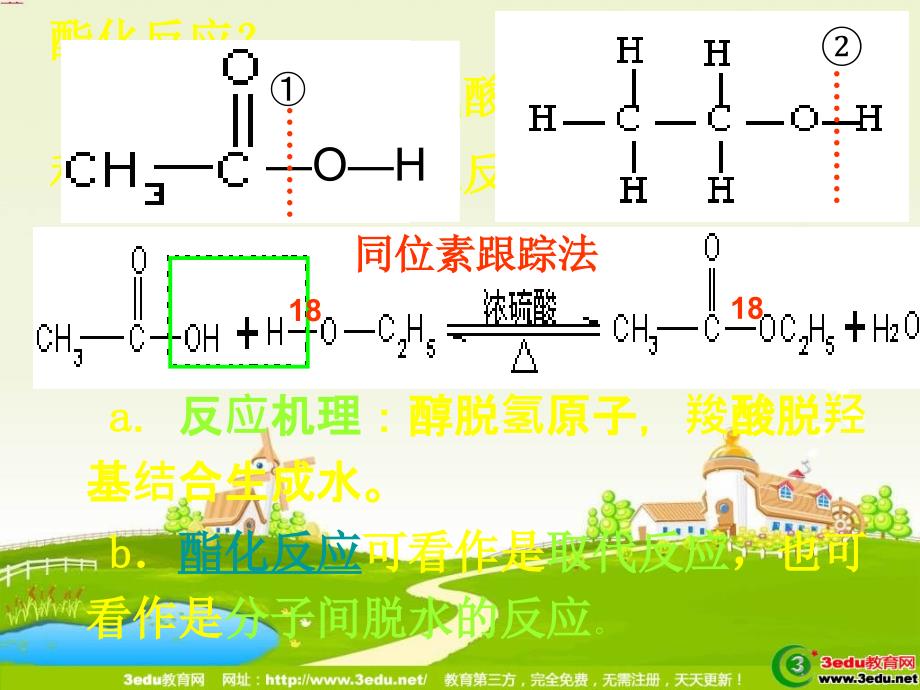 高二化学羧酸和酯2_第4页