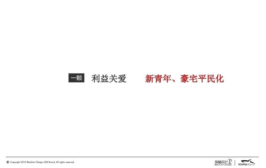 【关爱有家】中德·英伦联邦楼盘地产项目阶段推广沟通策划方案_第5页