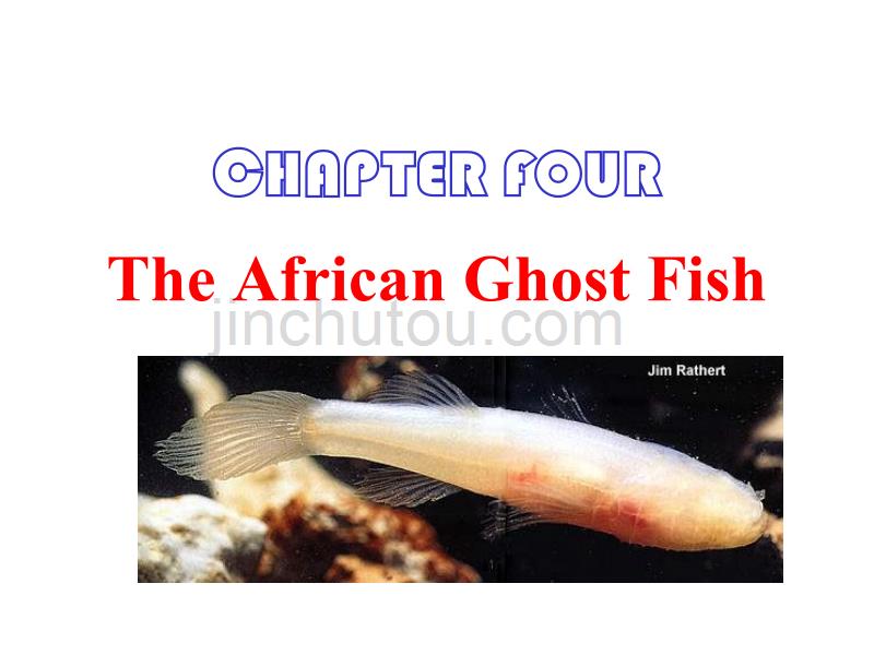 牛津上海版英语九上《Chapter 4 The African ghost fish》ppt课件_第1页