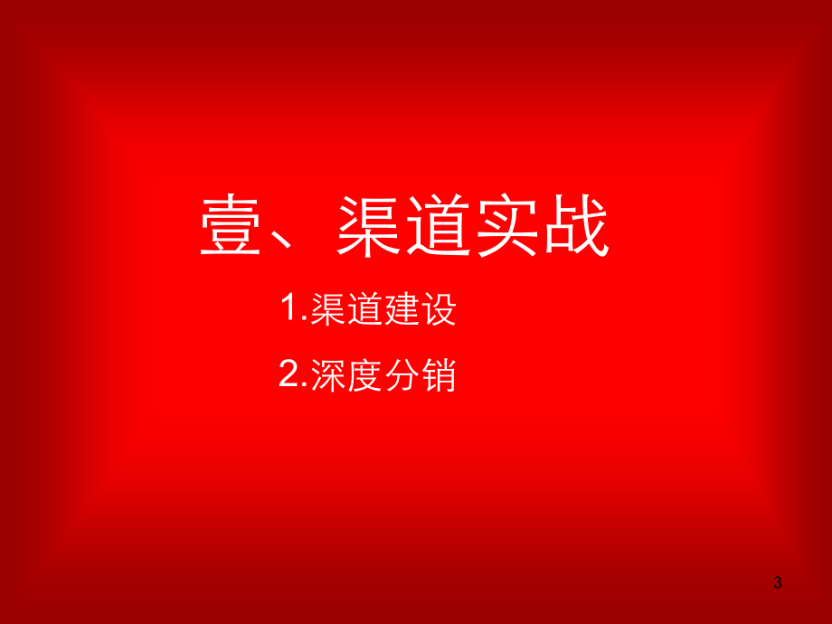 金正大销售培训之渠道管理提升计划2.13_第3页