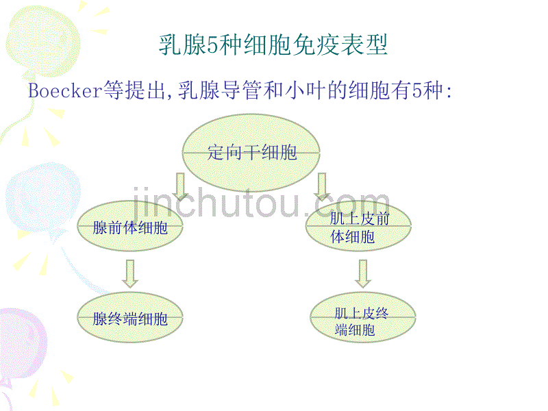 免疫组化在乳腺疾病诊断和鉴别诊断中的应用课件_第4页