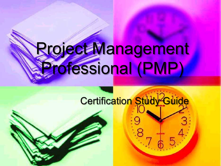 Project Management Professional（PMP）_第1页