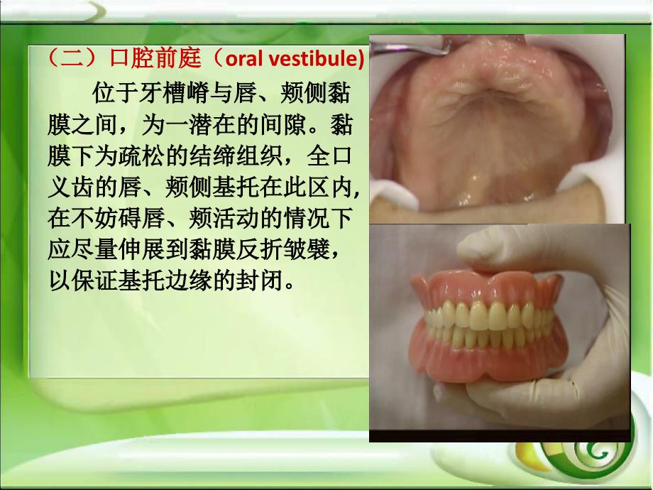 全口无牙颌解剖标志的识别_第3页