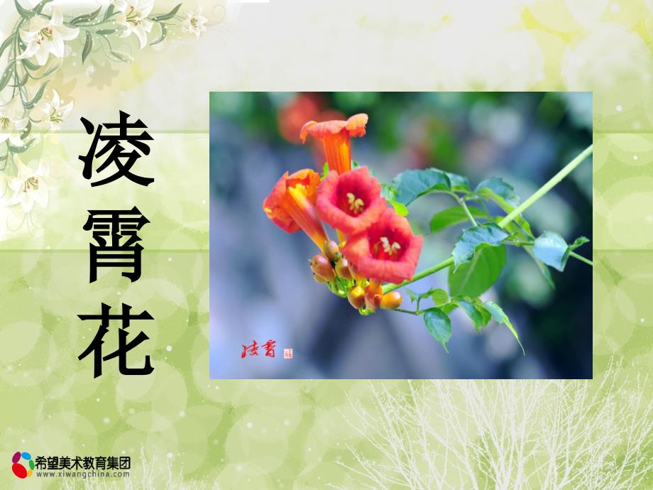 2 凌霄花课件(小燕子)(已开)_第1页