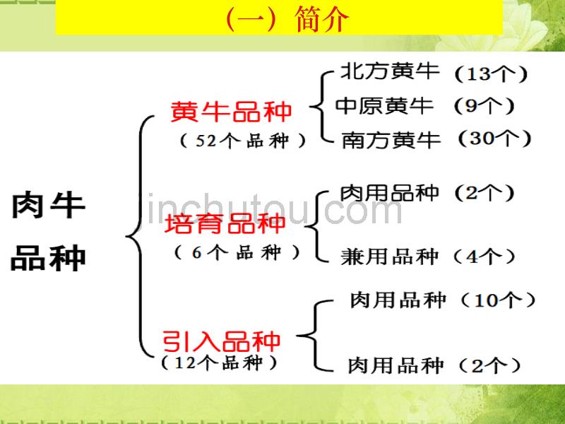 肉牛产业技术培训--肉牛养殖技术_第4页