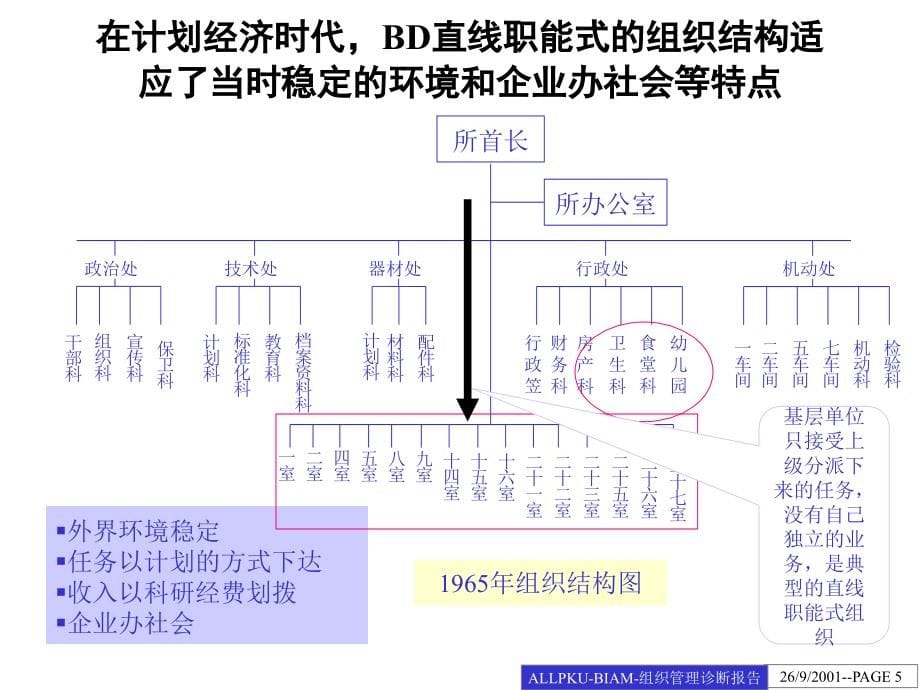 BD组织管理诊断报告_第5页