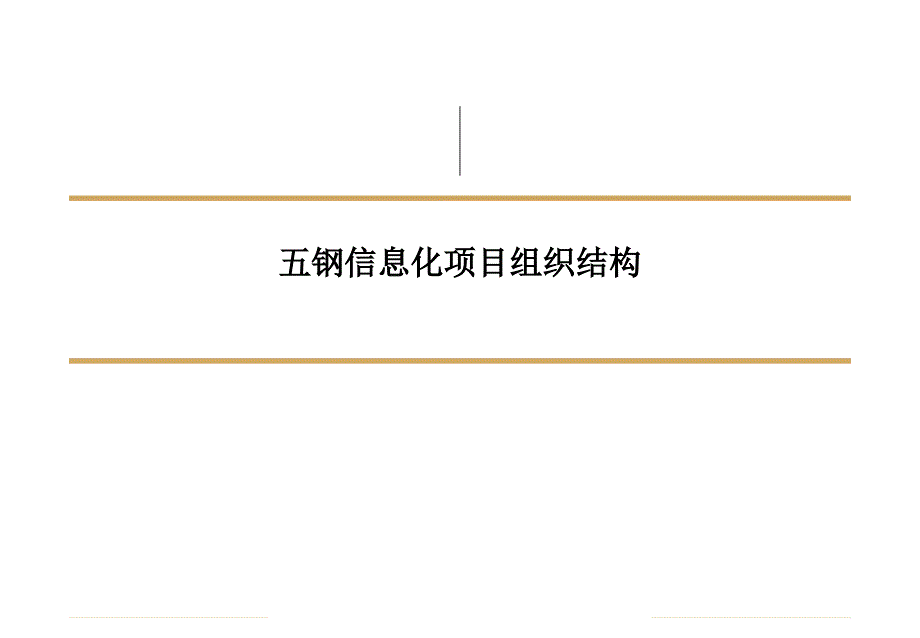 信息化项目组织结构_第1页