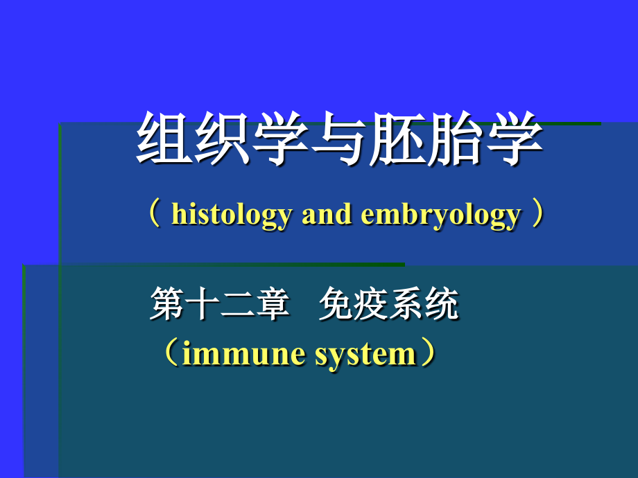 免疫系统组织胚胎学课件_第1页