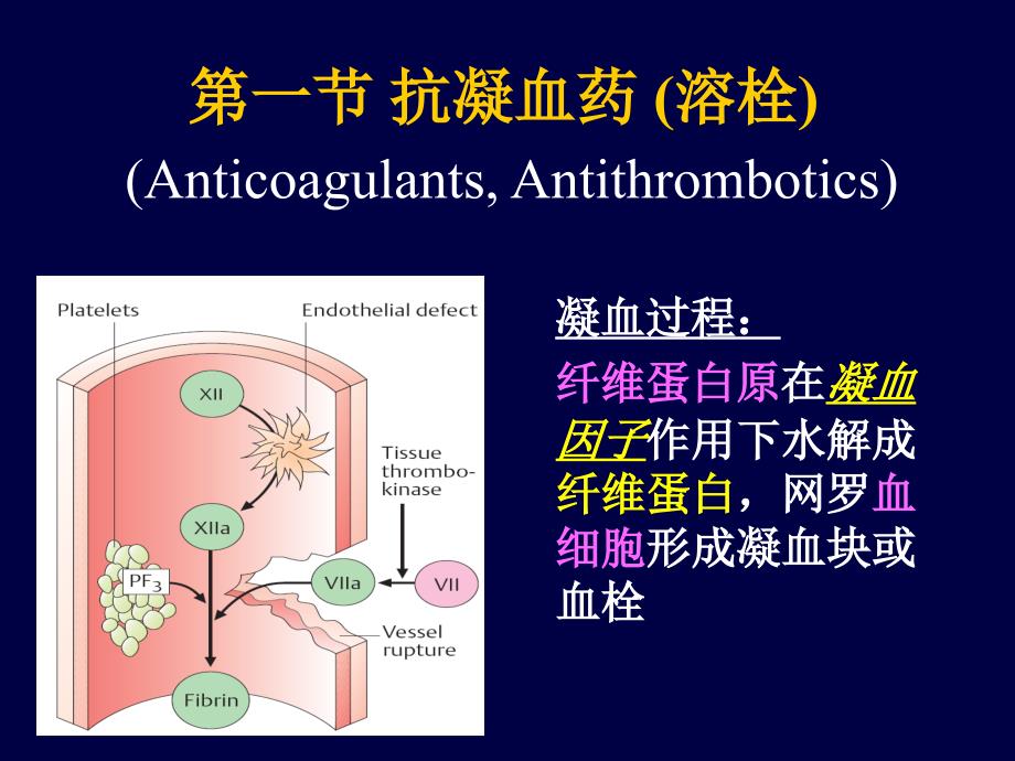 作用于血液和造血器官药物课件_第3页