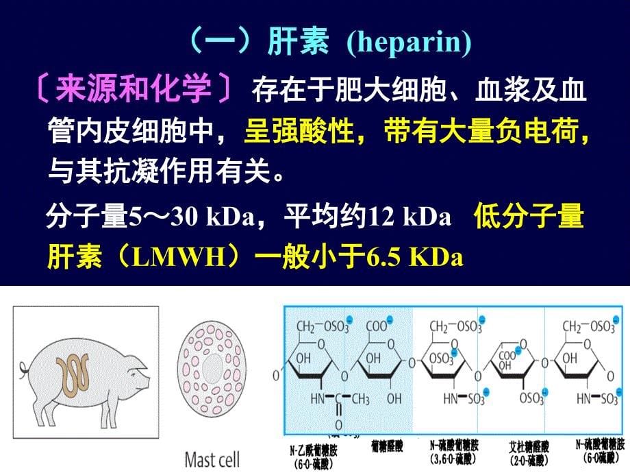 作用于血液和造血器官药物课件_第5页