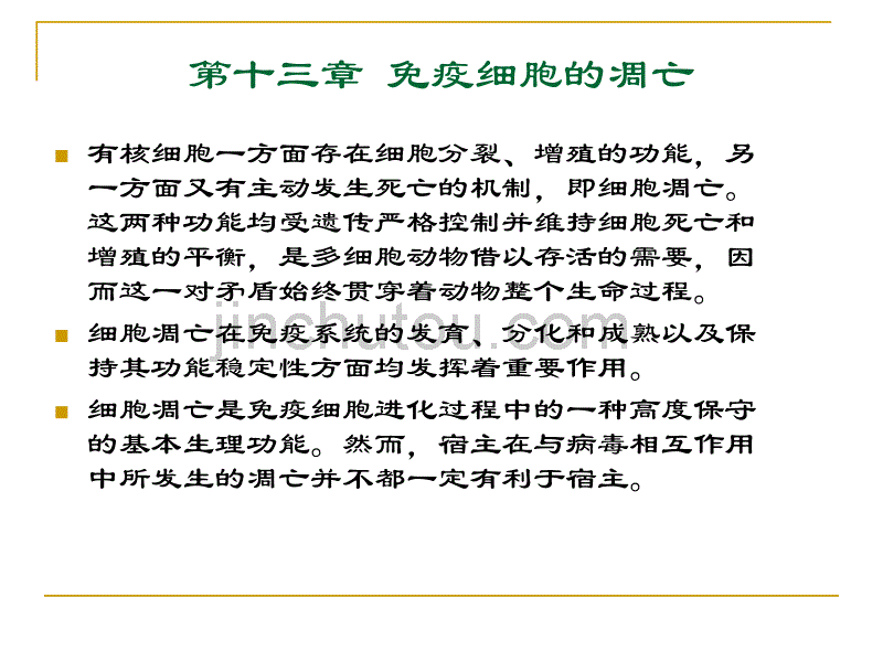 免疫细胞的凋亡课件_第1页