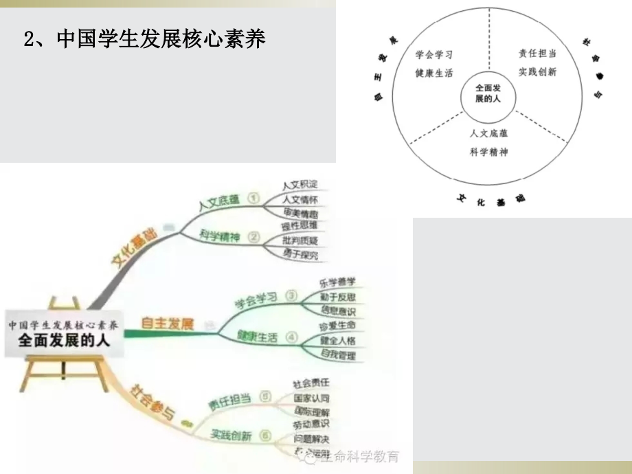 四川省成都市第七中学2018年高三生物复习：2017全国丙卷生物试卷分析及复习策略_第3页