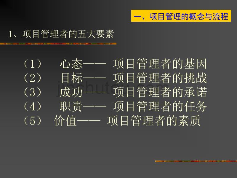 项目管理教程讲座_第5页