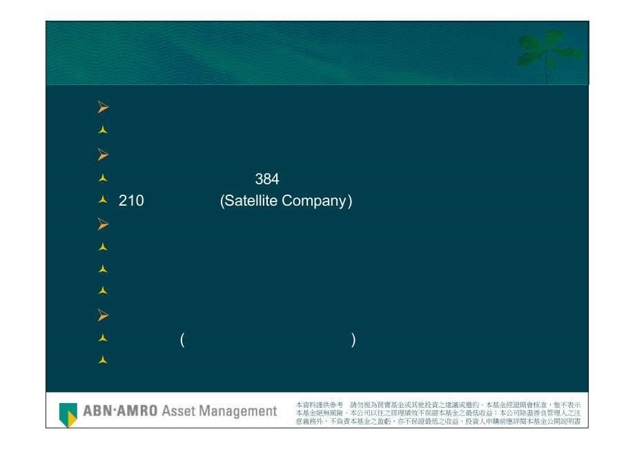 荷银投资管理公司全球首选投资策略_第5页