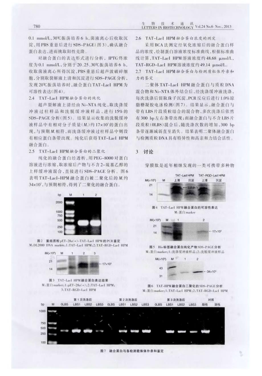 穿膜肽-LacI HPM载体的构建及其DNA结合活性测定_第3页