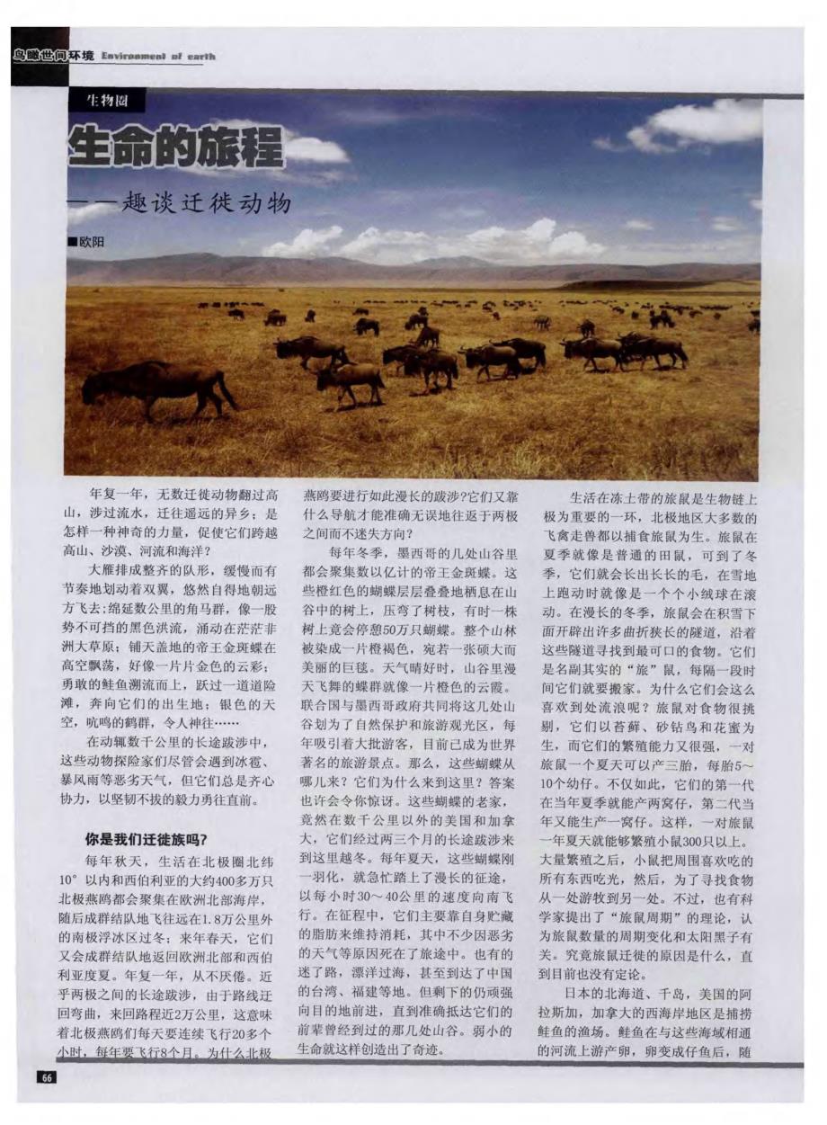 生命的旅程——趣谈迁徙动物_第1页