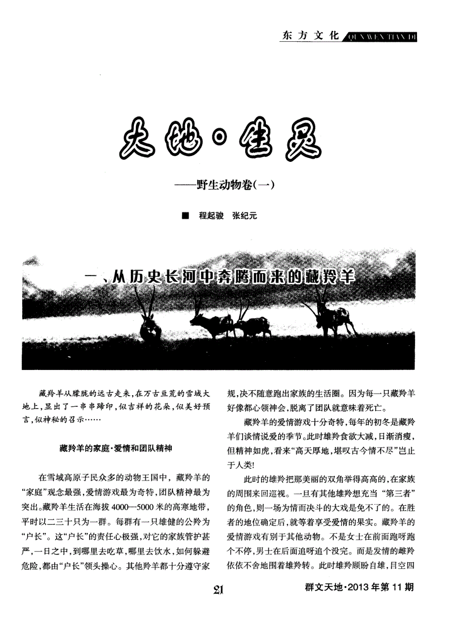 大地生灵——野生动物卷（一）_第1页