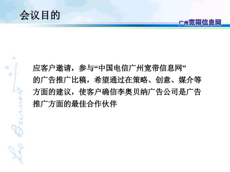 XX宽带信息网提案_第2页