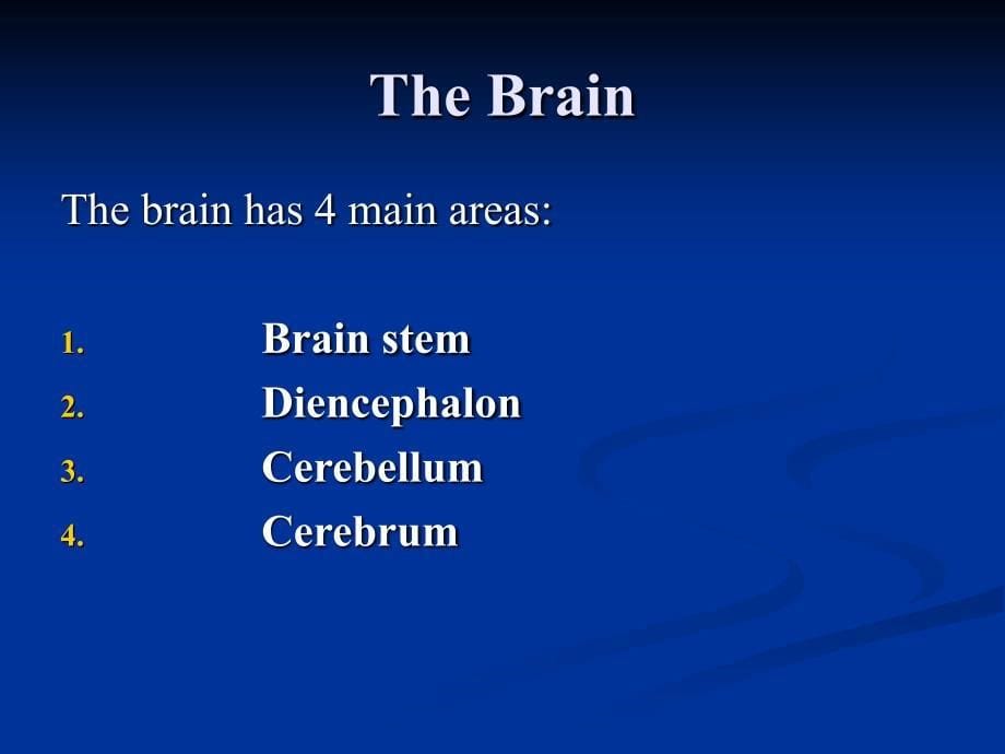大脑皮层功能与解剖课件_第5页