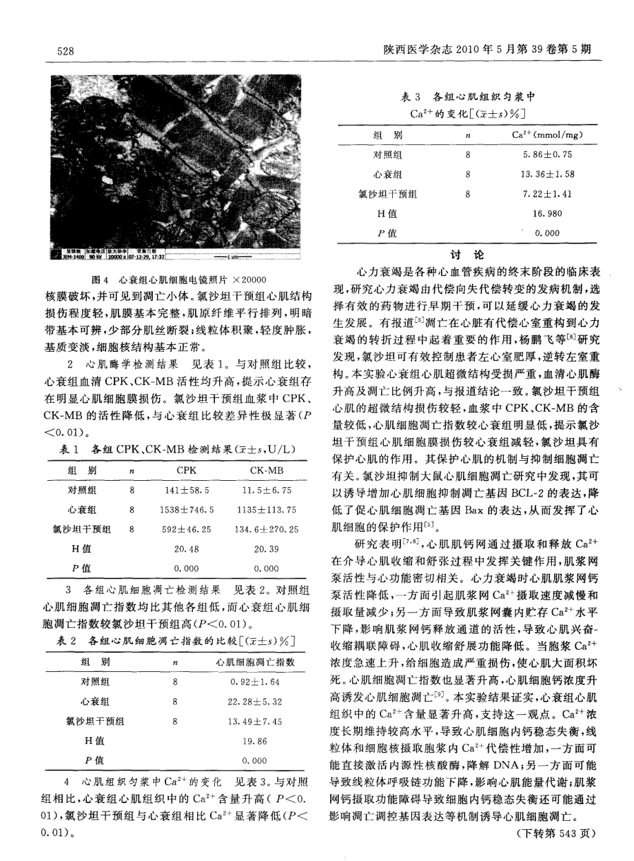 氯沙坦干预对心衰大鼠心肌细胞凋亡和Ca2＋变化的影响_第3页